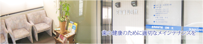 歯の健康のために適切なメインテナンスを